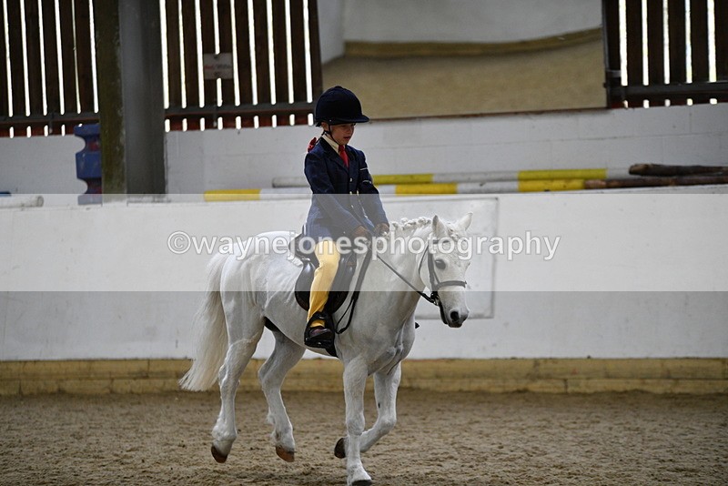 WJ5_7206 - Class 11 Ridden PC - RC Pony
