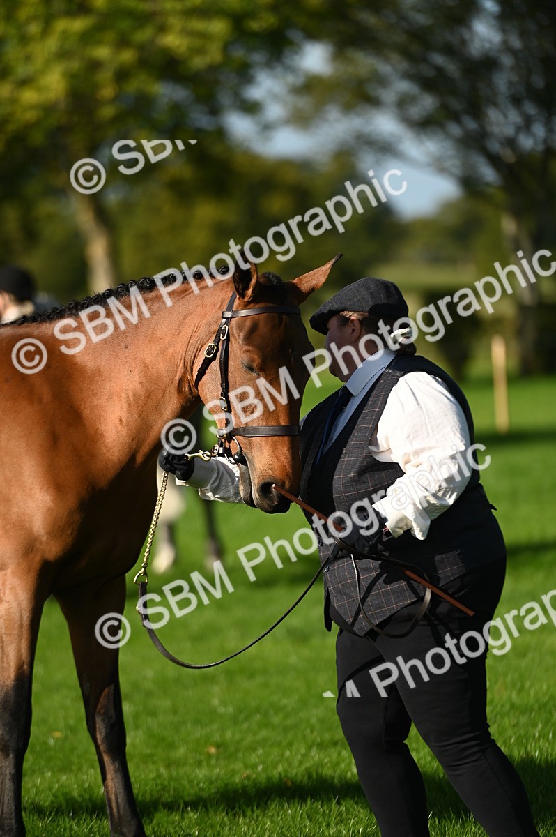 SBM_14778 - S1 - TSR in Hand Horse & Pony Showing
