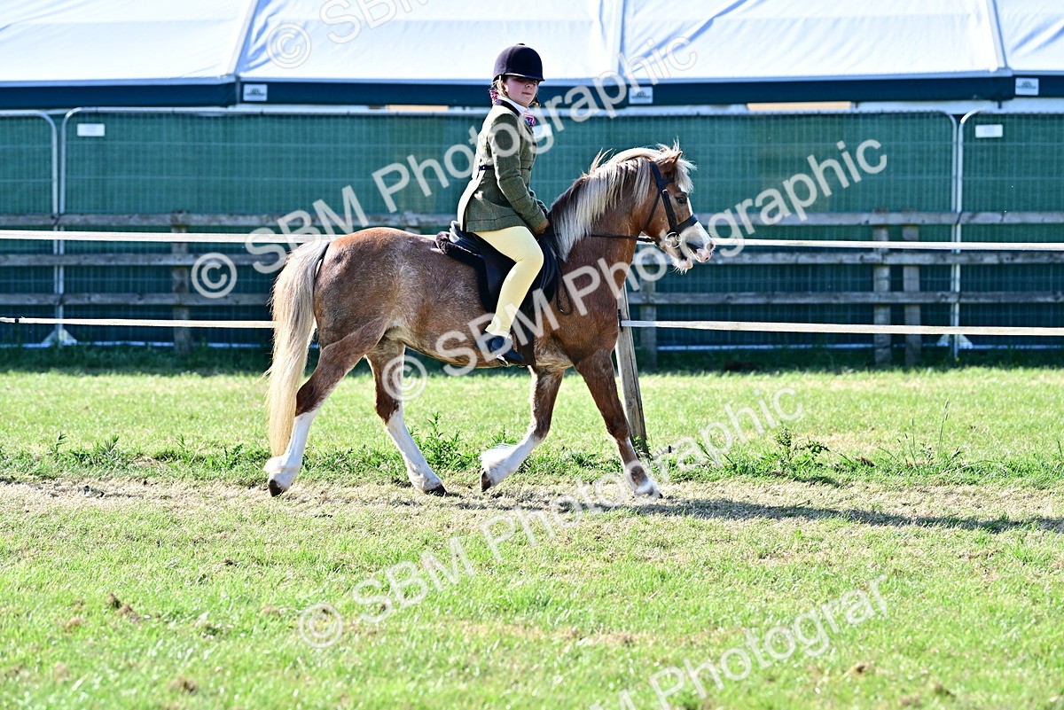 SBM_19847 - Class 103 - 105 - TSR Ridden Amateur of the Year Plaited Ponies