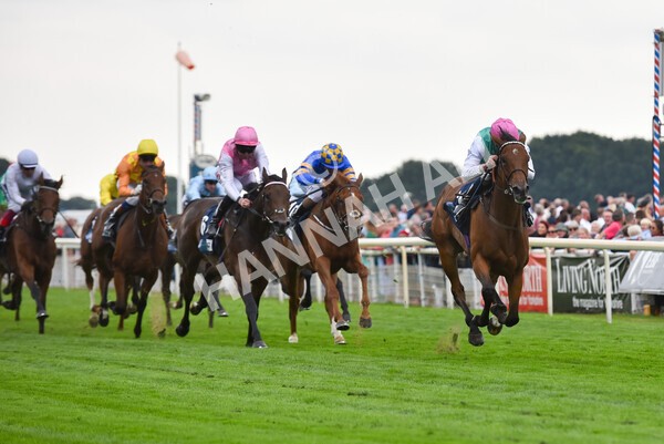yr18082022r5-27 - Race 5 4.10pm British EBF & Sir Henry Cecil Galtres Stakes