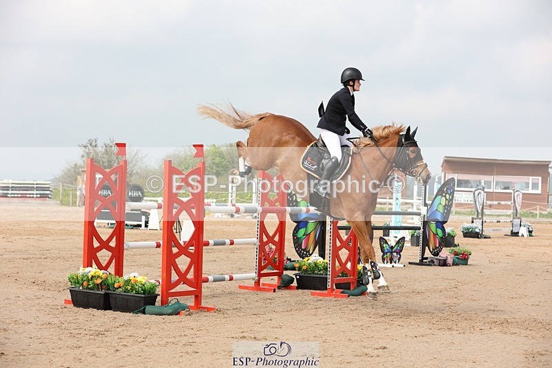 250424-110355-03367 - Cls 33 Young Horse 7yr old