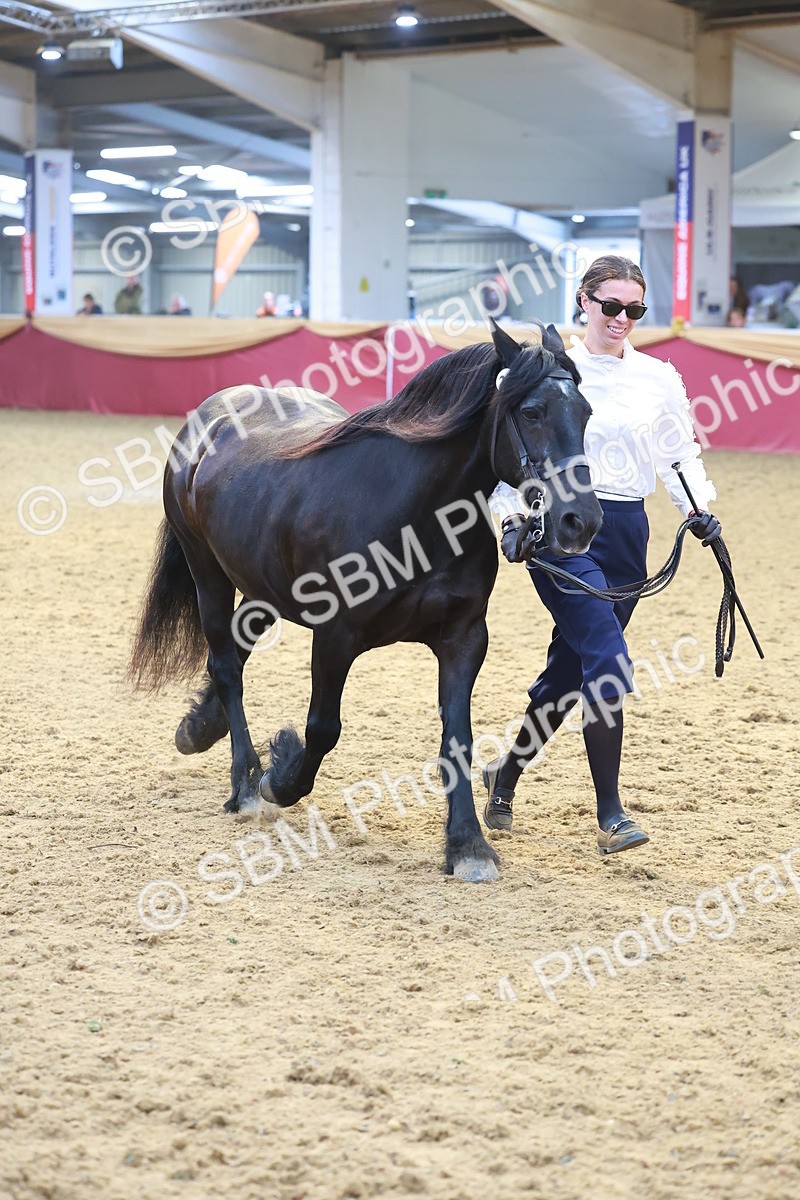 SBM_16671