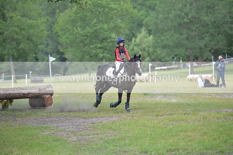 NGP_8036 - Time 11:39 to 11:48