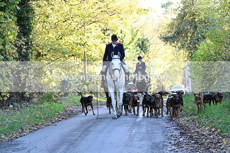 WJ7_8646 - Walk Home