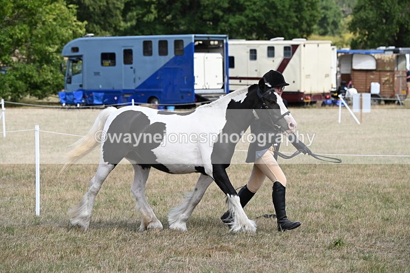 WJ6_6482 - Class 20 In-hand Cob