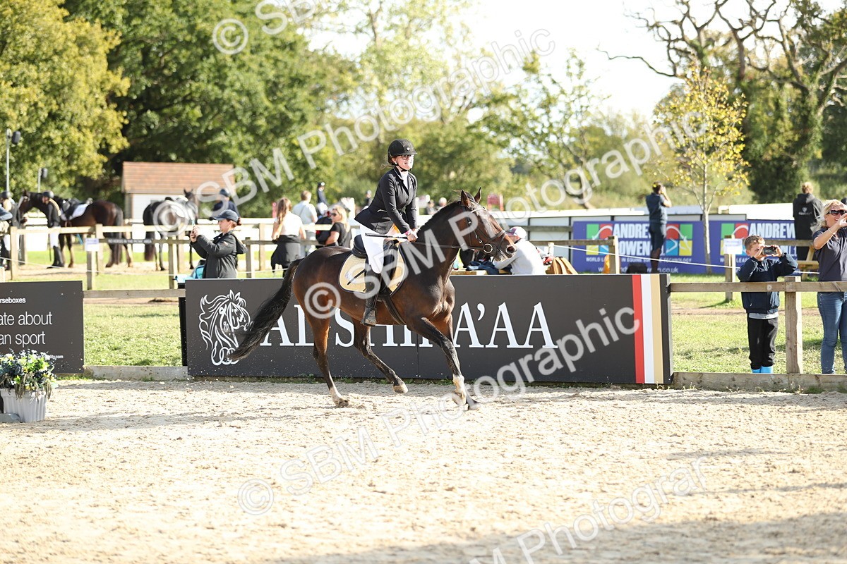 SBM_49678 - J22 - Junior Horse 65cm Championship