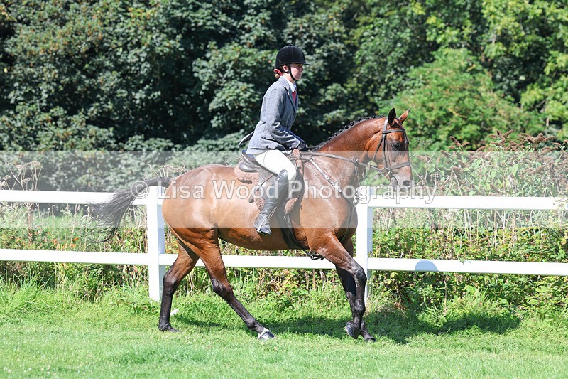 3E7A8354 - Class 4: Novice working Hunter