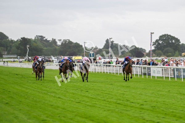 220824-Race 4-Content-7342 - Race 4 3.35pm Pertemps Network Yorkshire Oaks