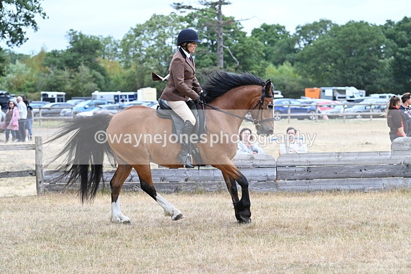 WJ7_0546 - Class 6 Ridden Mountain and Moorland