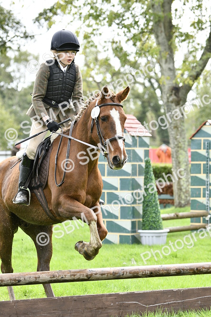 SBM_41474 - S32 - Mountain & Moorland Working Hunter Pony