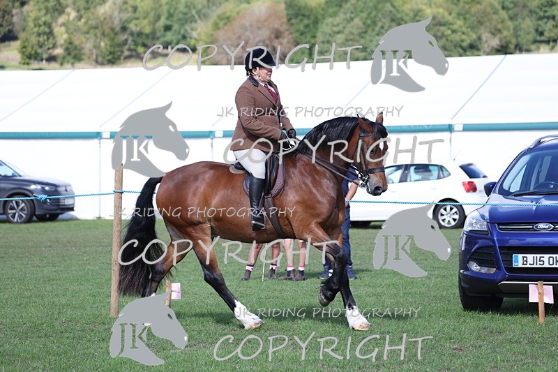 APP_3075 - Class 11 Veterans ridden