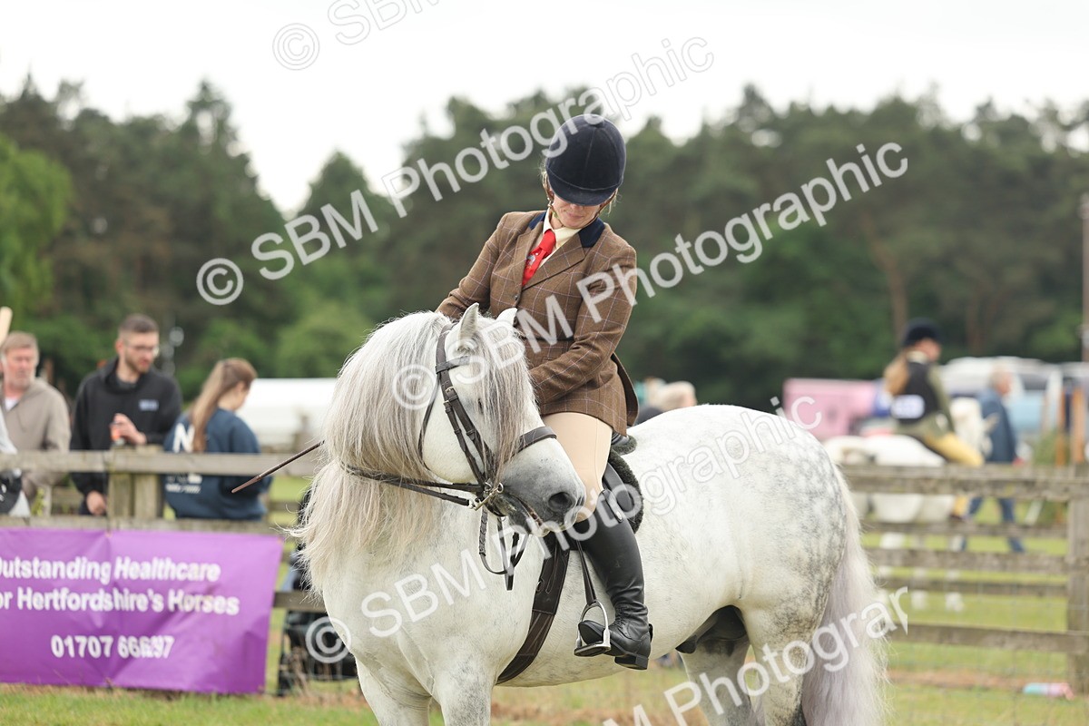 SBM_08996 - Class 78-80 - Ridden M&M Non Welsh Ponies