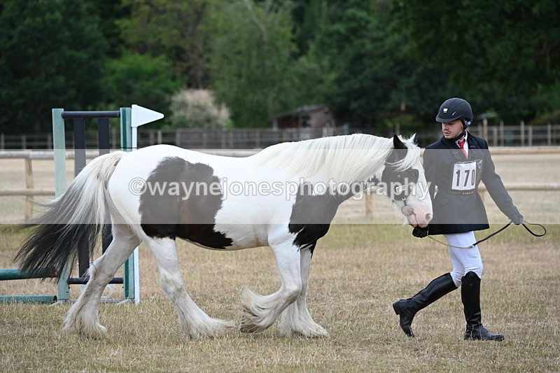 WJ6_7814 - Class 10 Coloured in Hand
