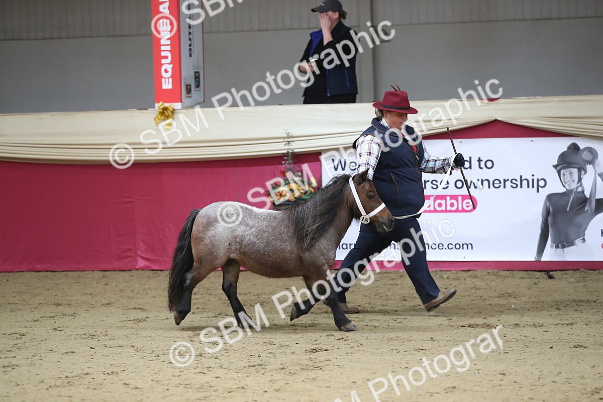 SBM_01331 - Class 3a Area IH Pre Vet