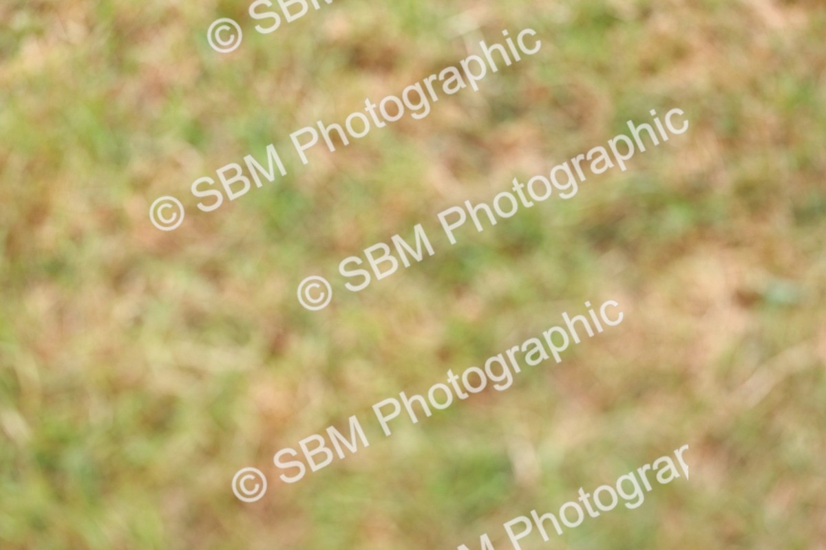 SBM_02986 - Class 9-11 Side Saddle including LIHS Rising Star Ladies Show Horse