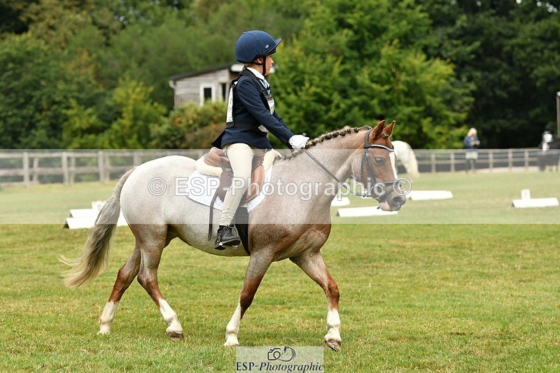 250820A-111923-05009 - 11am to 12