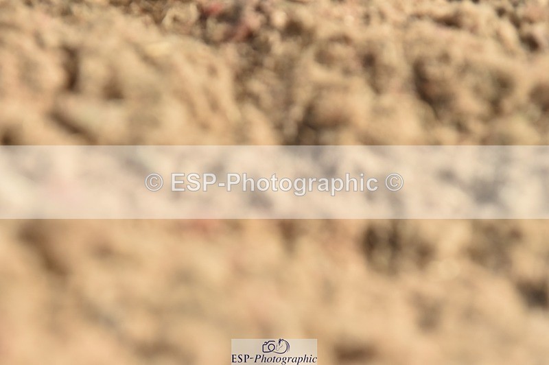 250622-090814-12736 - Quest Cls 19-24 Intro Tests