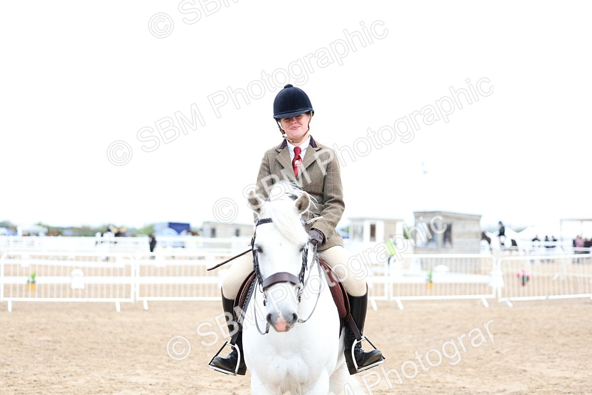 SBM_01482 - Class 17 - Prettiest Mare