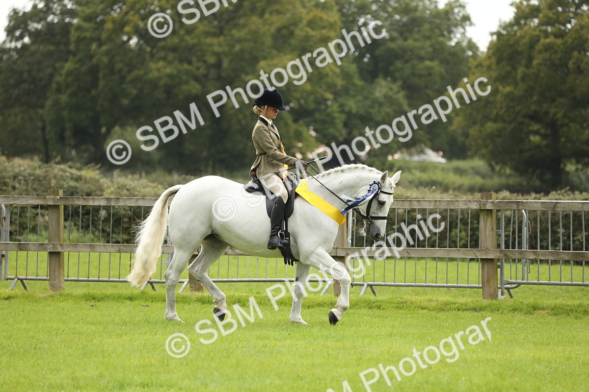 SBM_75429 - Equitation Supreme Championship