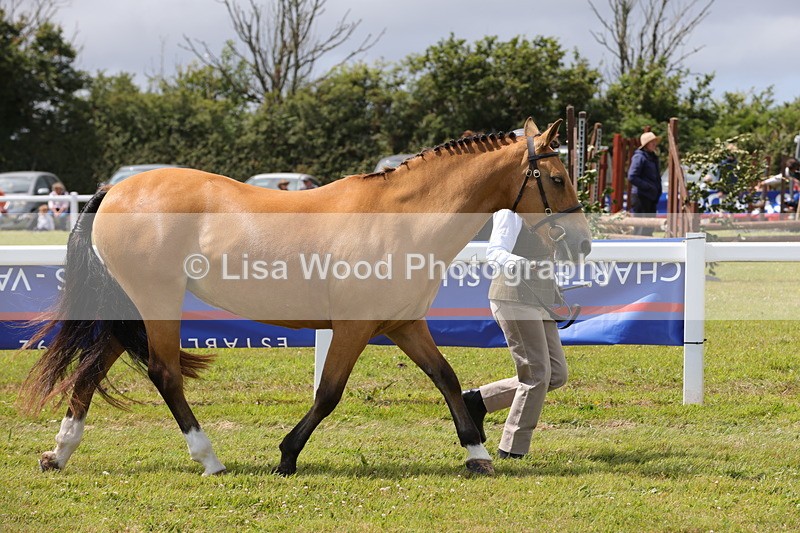 1X9A4898 - Class 35: Veteran In Hand