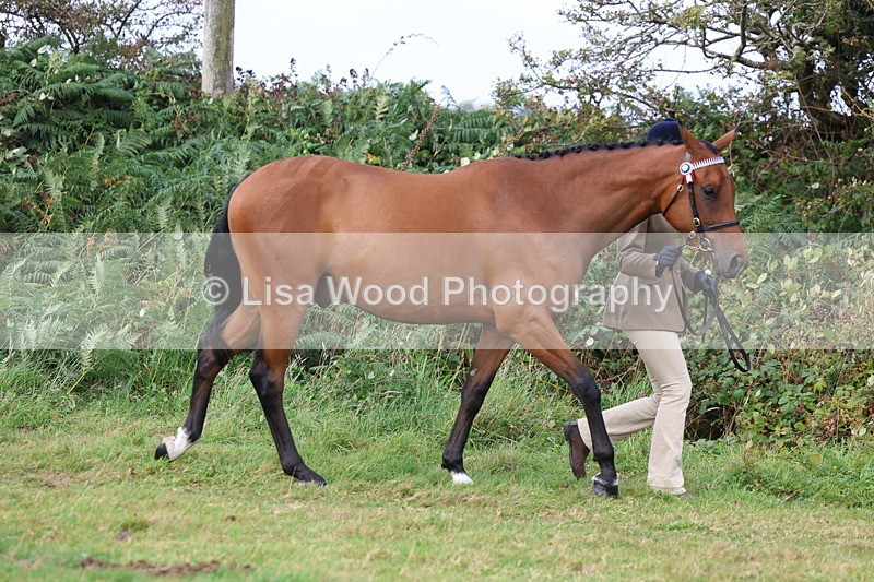 3E7A4023 - Class 15: Two Year Olds