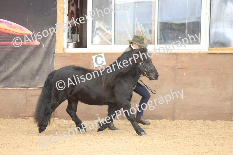 20251109-0028 - Class 3 - 2 and 3 Year Old