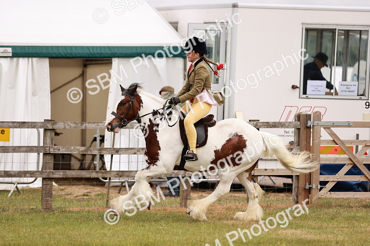 SBM_06159 - Class 39-41 TGCA In Hand and Ridden