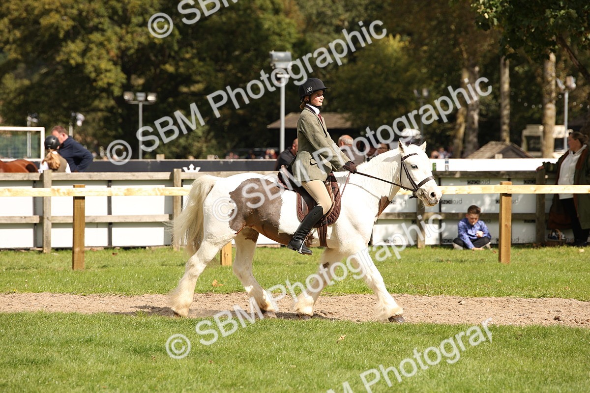 SBM_42285 - S13 - Pony Club Pony