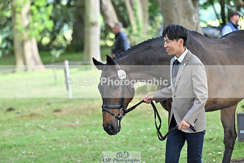 250521A-170131-01475 - C-280-Ryo.Murata-BROOKPARK.VIKENTI