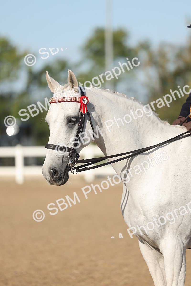 SBM_22149 - Class 801 - Ridden Veterans