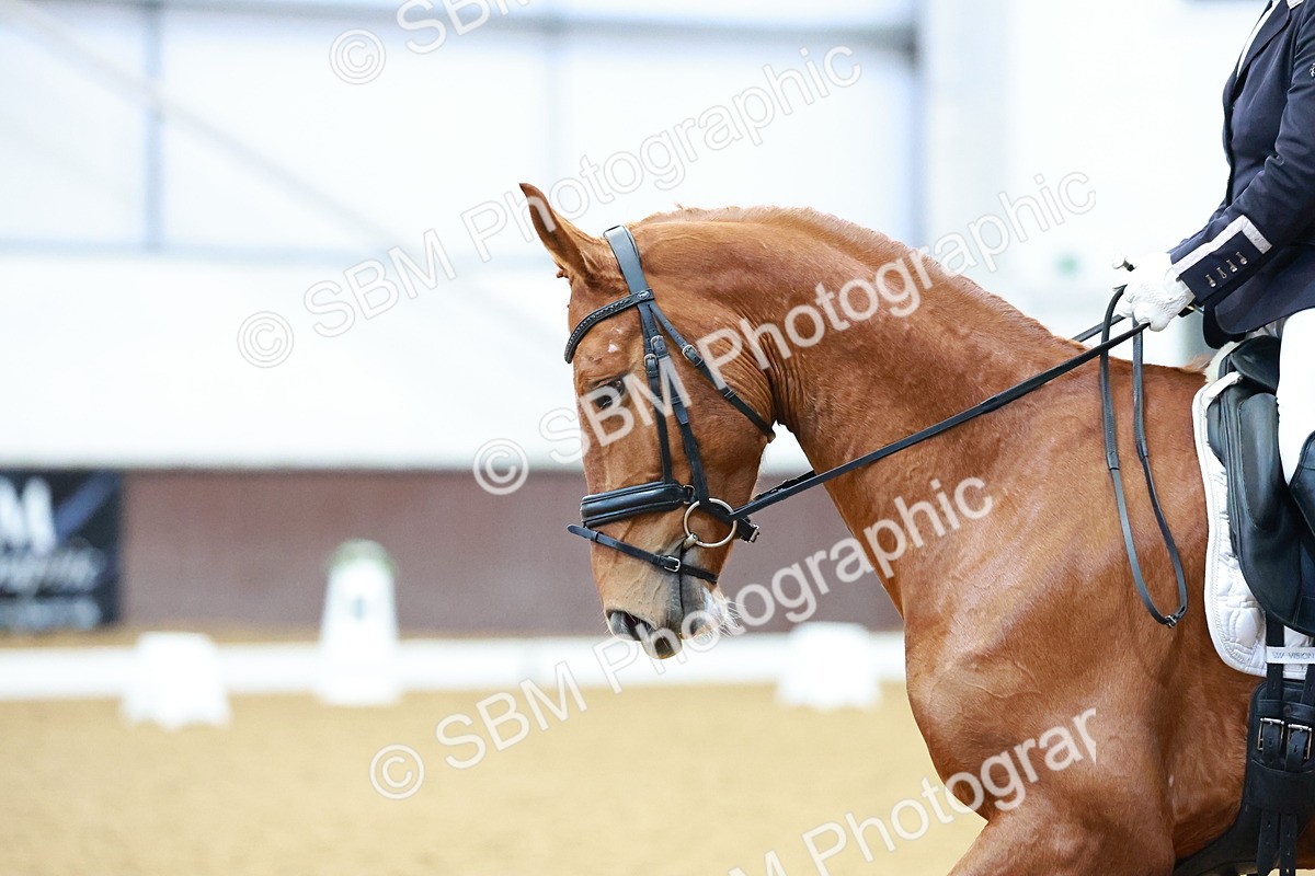 SBM_003290 - Class 1-2 - P4-P6