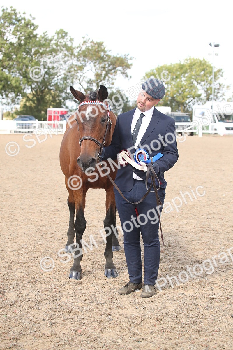 SBM_23480 - Class 604 - 2026 - Area IH Diamond