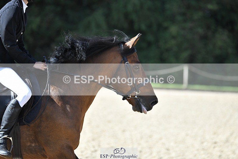 230820-095916-00107 - 70cm - Round 1