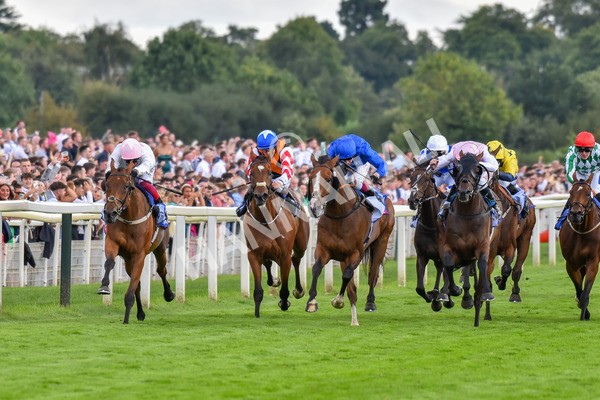 260823-Race 4-Absurde-0908 - Race 4 Sky Bet Ebor Handicap