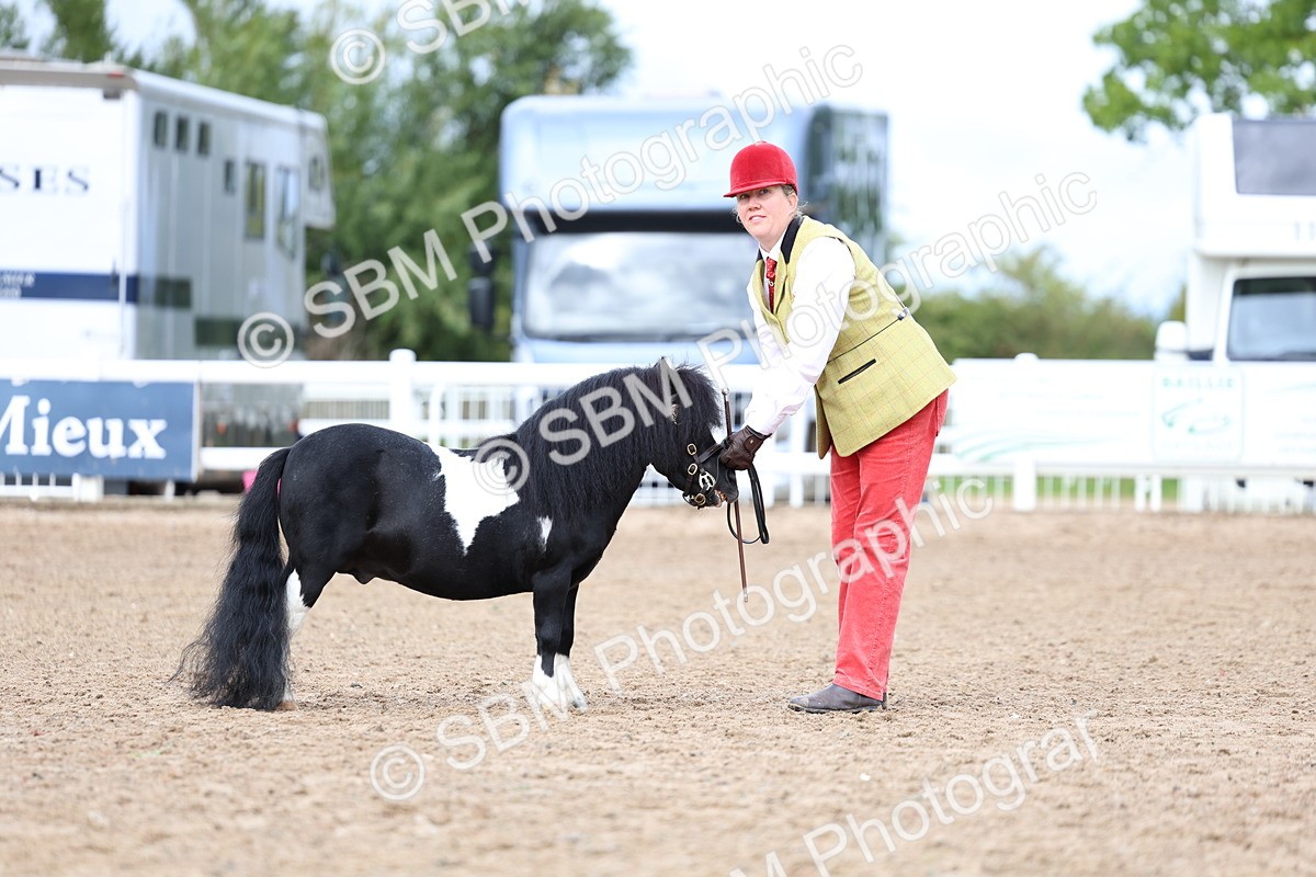 SBM_00254 - Class 15 - IH Coloured