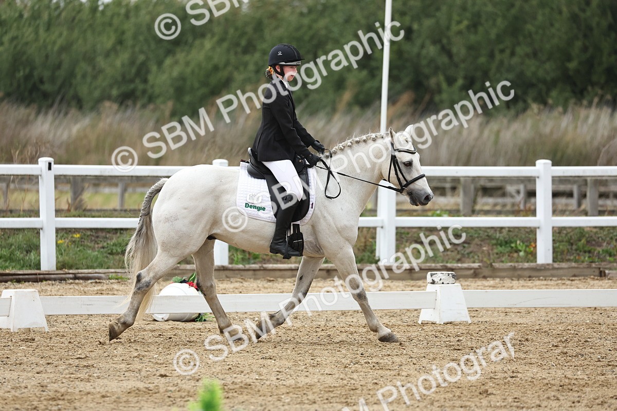 SBM_004358 - Class 8 - Novice 3 Champs