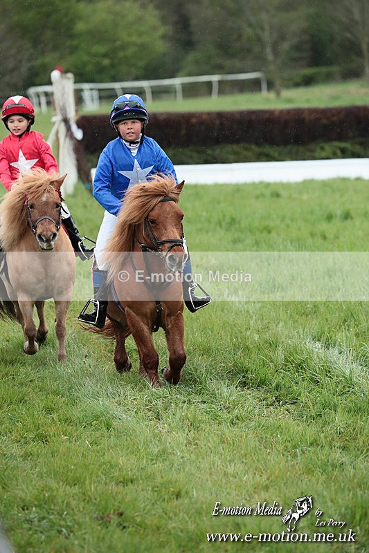 SHETPR 210425 245 - Shetland Ponies Paxford Races 21/04/25