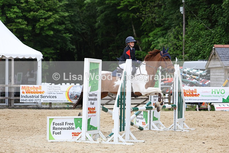 3E7A0111 - Class 13: Pony British Novice/80cm open