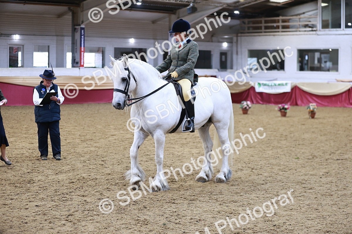 SBM_08236 - Class 11R - Regional Ridden Veteran