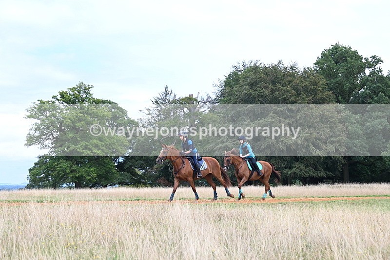 DSC_7729 - Time at Statue 13:16 to 13:52