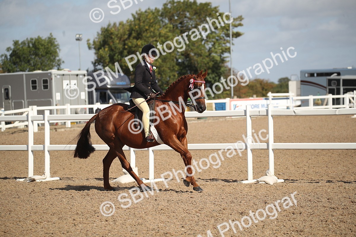 SBM_22920 - Class 603 - 2026 - Ridden Pre Vet