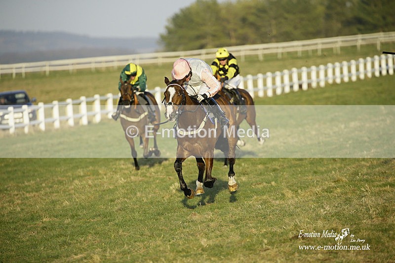 PtP 270222 699 - South & West Wilts Point-to-Point Larkhill 27/02/22