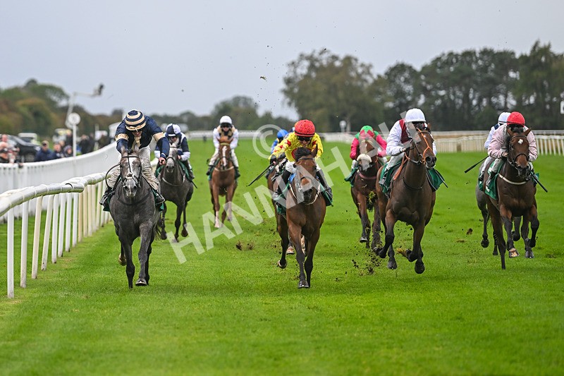 150925-Race 2-Rum Therapy-2376 - Race 2