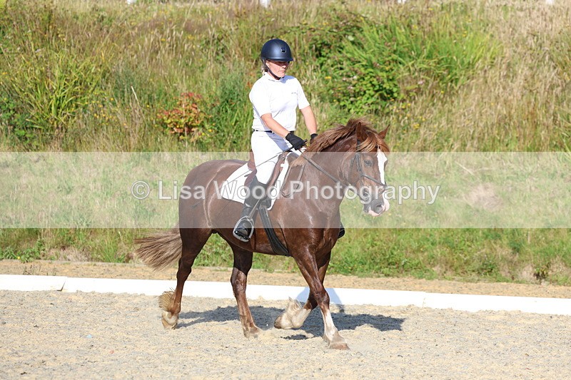 3E7A3688 - Class 2: Intro 1 2024 Section B