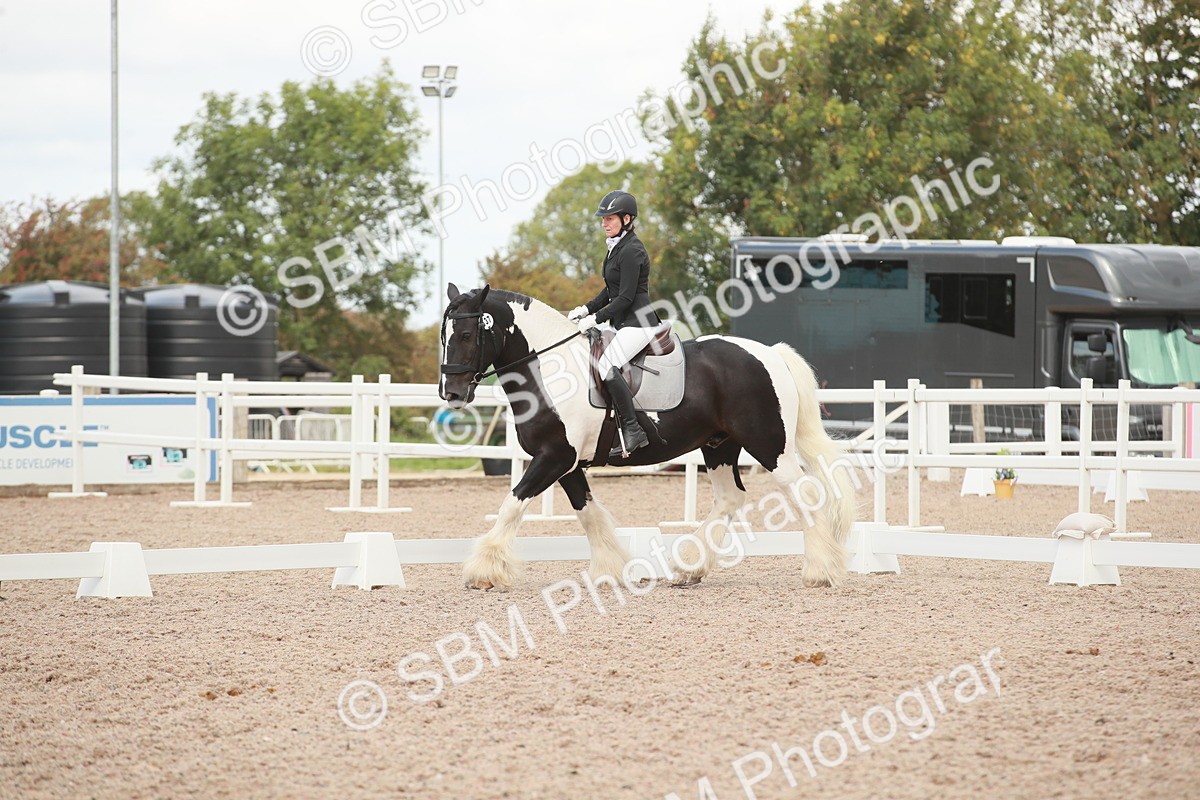 SBM_03811 - Class 31 - Prelim 1