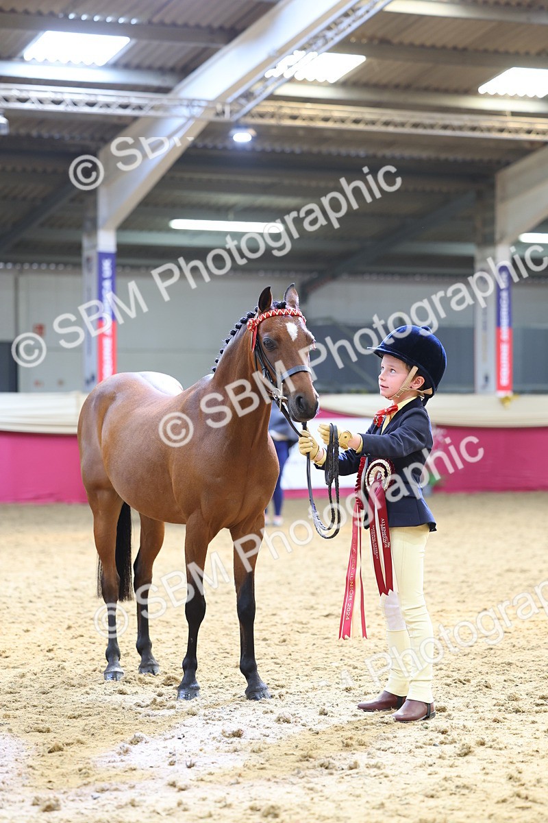 SBM_23011 - Class 903 - Supreme Final - IH Pre Vet