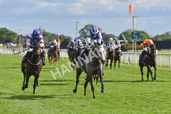 yr22052021r7-43 - Race 7 5.25pm Hudson Quarter York Palace Capital Stakes - Gentleman Amateur Riders Race