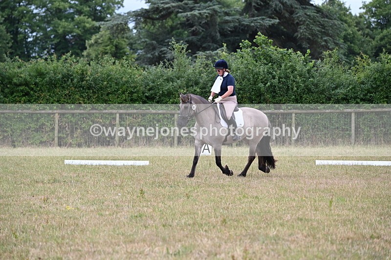 WJ6_1136 - Time 10:28 to 10:40