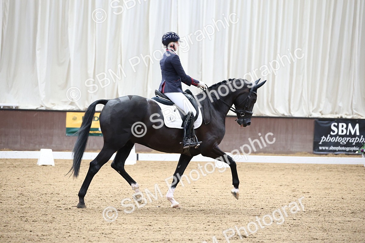 SBM_002208 - Class 5 - Novice 6 Gold - 9.00-10.10