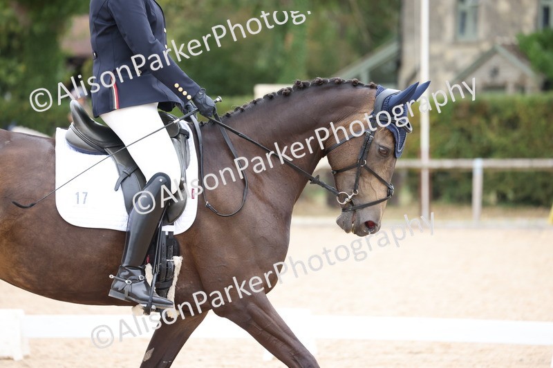 20250820-0883 - Class 16 - Novice 5